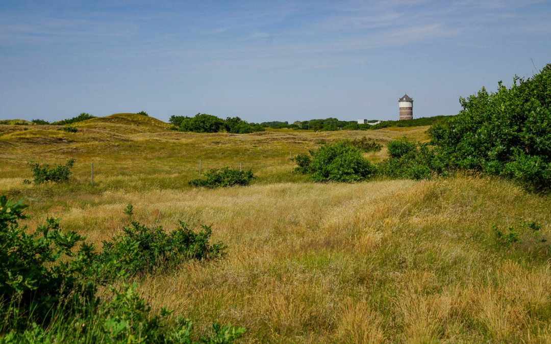 Maak kennis met Kavels Achter De Duinen (video)